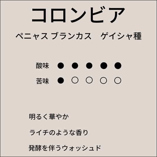 コロンビア ペニャス ブランカス ゲイシャ種
