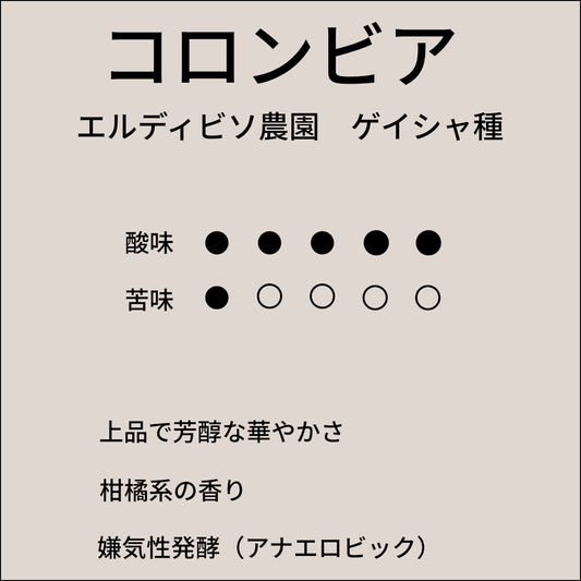 コロンビア エルディビソ農園 ゲイシャ種